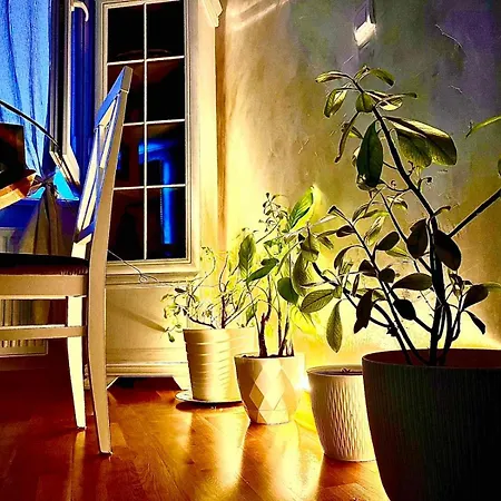 Apartment Cosy Retreat 135 Belgrade